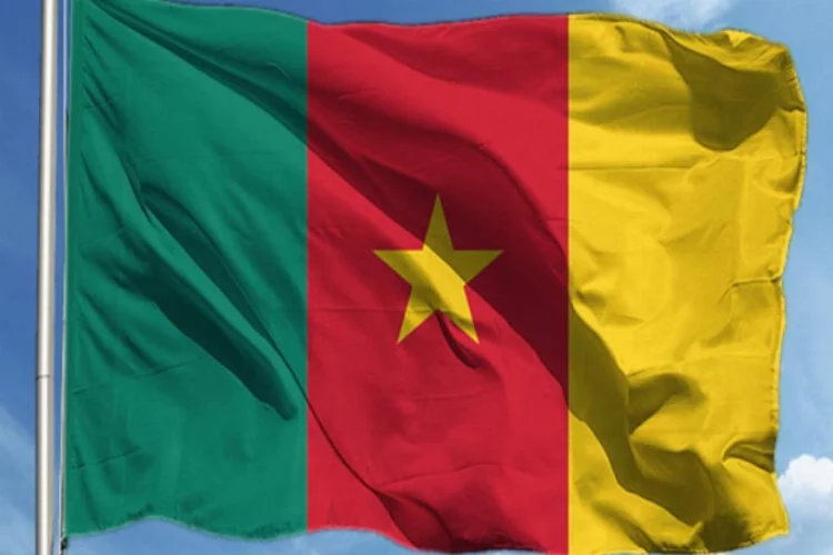 Kamerun'da TIR ile minibüs çarpıştı: Ölüler var