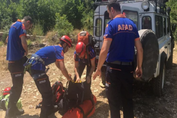 Bursa'da ağaçtan düşen yaşlı adam yaralandı