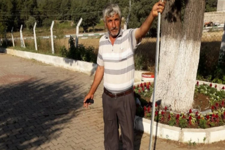 Bursa'da 2 metre boyundaki yılanı öldürdü