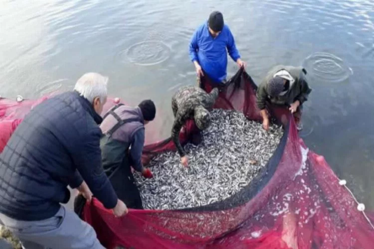 Bursa'da gümüş balıkçıları Ağustos'u bekliyor