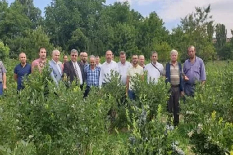 Tarım Müdürü Hamit Aygül'den Orhanelili çiftçiye ziyaret
