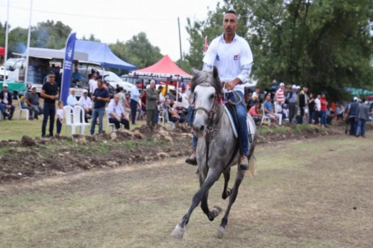 Bursa'da Rahvan atları '15 Temmuz' için yarıştı