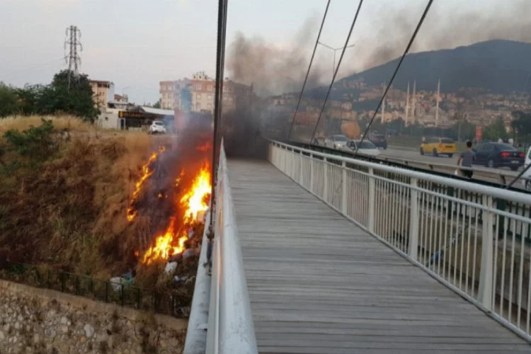 Bursa Hüdavendigar Parkı'nda yangın! Köprü alevlere teslim oldu