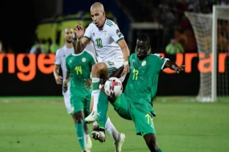 Afrika Uluslar Kupası'nda Cezayir şampiyon