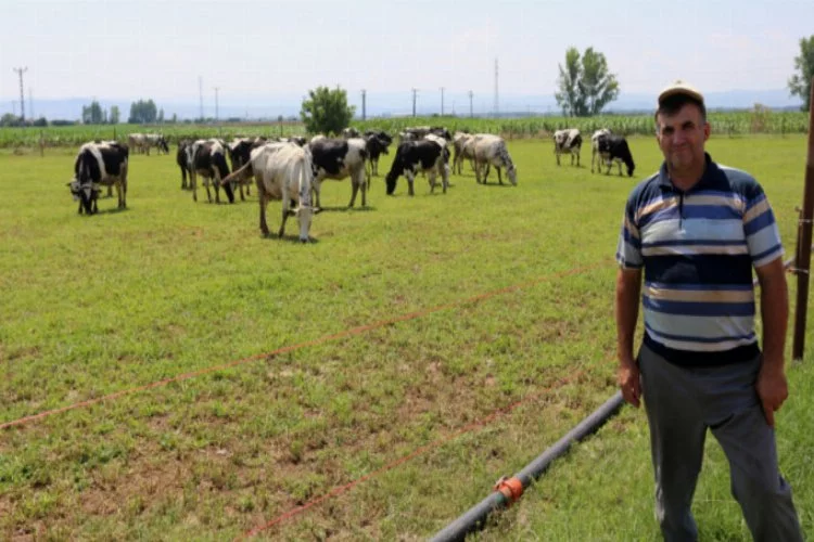 Bursa'da süt üreticilerinin yüzü düştü