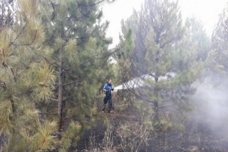Bursa'da piknikçiler ağaçlık alanı yaktı!