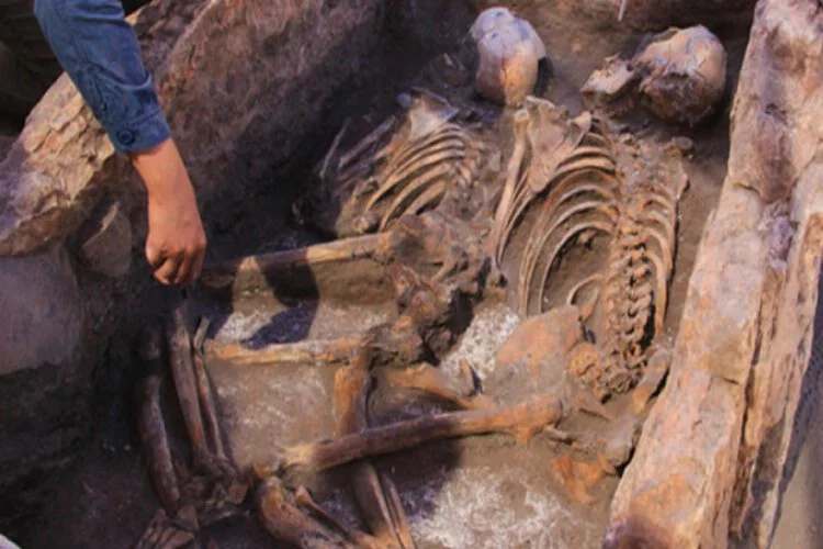 5 bin yıllık insan iskeletleri ortaya çıktı