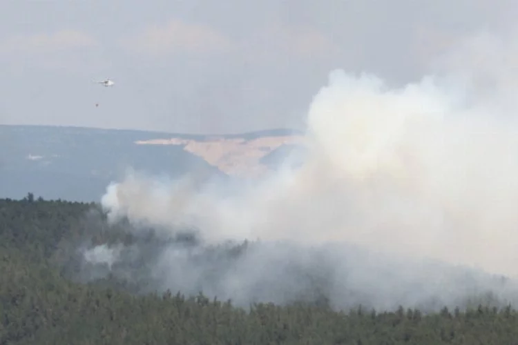 Bursa'da orman yangını: Çok sayıda ekip müdahale ediyor...