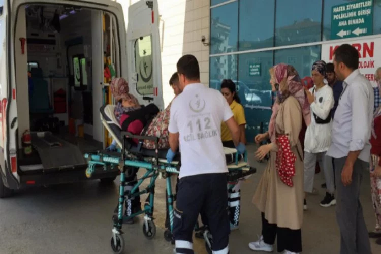 Bursa'da armut ağacından düşen kadın yaralandı