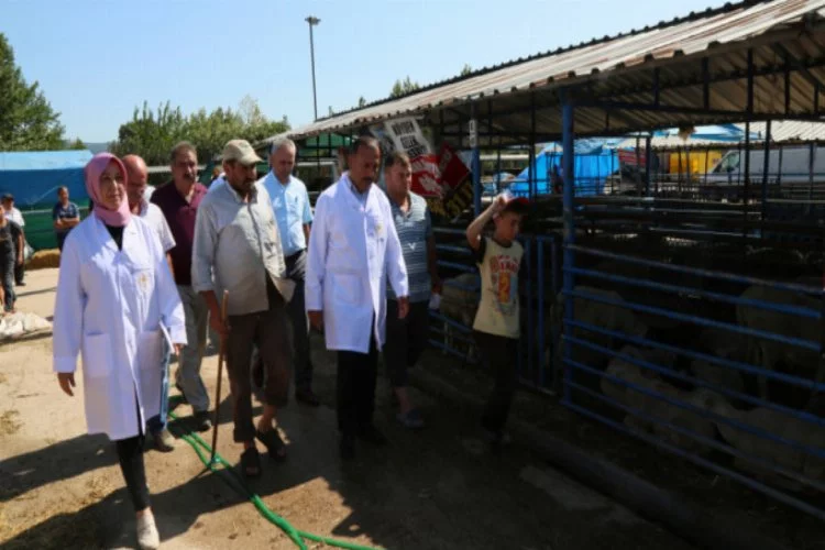 Bursa İl Tarım Müdürü kurban pazarında incelemelerde bulundu
