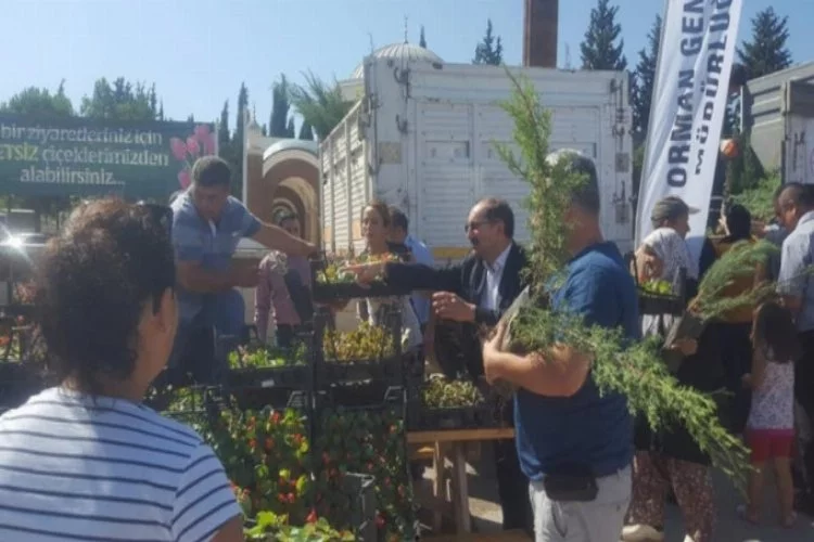 Bursa'da mezarlık ziyaretçilerine ücretsiz fidan ve çiçek