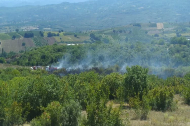 Bursa'da yangın! 3 hektarlık alan yandı...