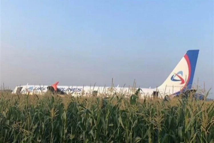 Uçak martı sürüsüne çarptı, yolcular yaralandı