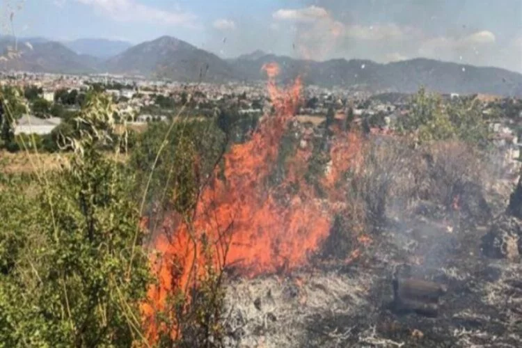 Fethiye'de orman yangını!