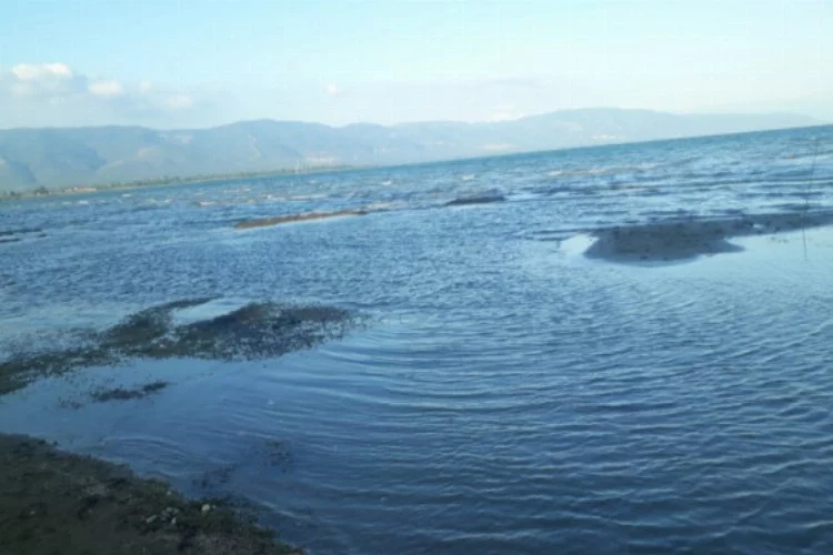 İznik Gölü'nün su seviyesinde ciddi düşüş