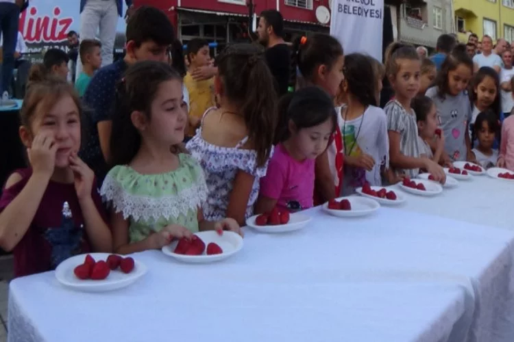 Bursa'da Çilek Festivali yoğun ilgi gördü!