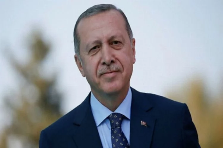 Erdoğan'dan Van kedili 'tbt' paylaşımı