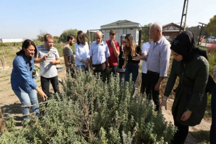 Bursa'da üniversiteliler ekolojik tarımı yerinde inceledi
