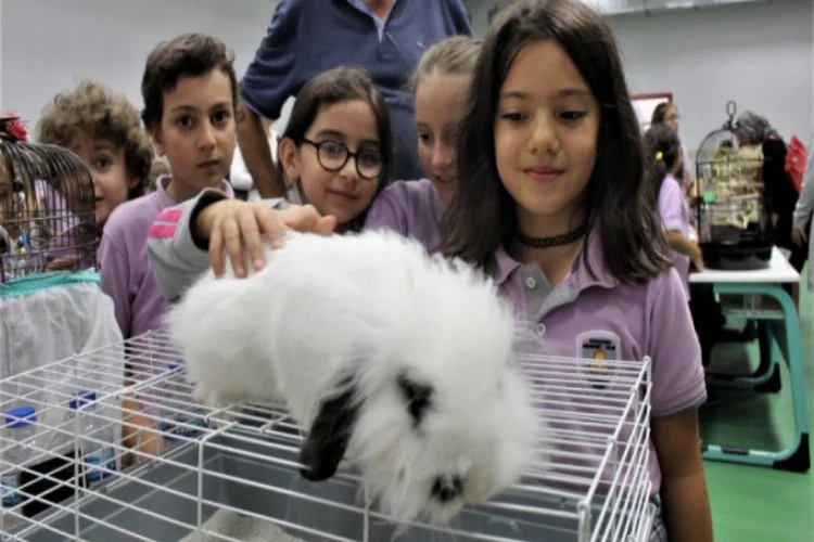 Bursa'da öğrenciler okulu hayvanat bahçesine çevirdi