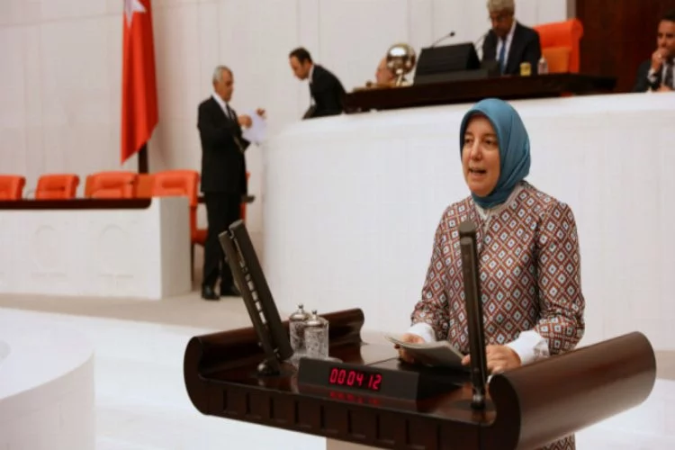 Gözgeç: Köy kadın dernek ve kooperatiflerinin Bursa'da sayıları artıyor