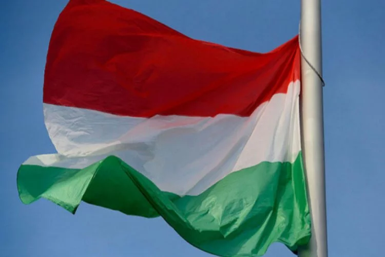 Macaristan'dan Barış Pınarı Harekatı açıklaması