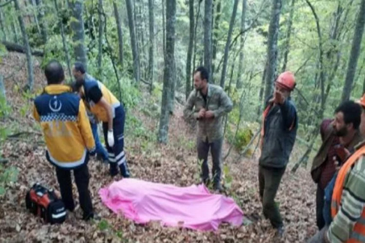 Bursa'da kestiği ağacın altında kalan yaşlı adam öldü