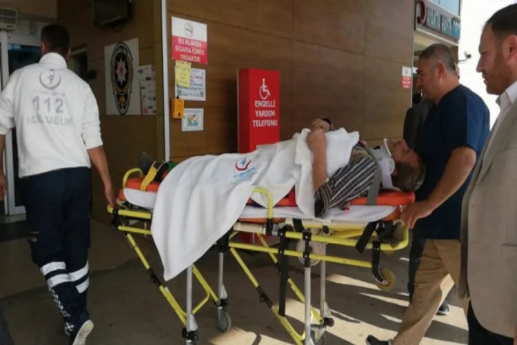 Bursa'da kestiği ağacın altında kalan adam yaralandı