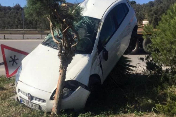 Bursa'da kaza yapan otomobil ağacın üstüne çıktı