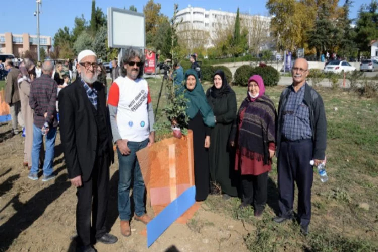 Bursa'da organları bağışçıları ve organ nakli olanlar birlikte fidan dikti