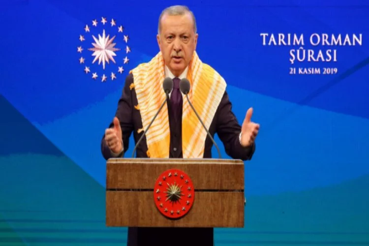 Cumhurbaşkanı Erdoğan: Su kanunu çıkartacağız