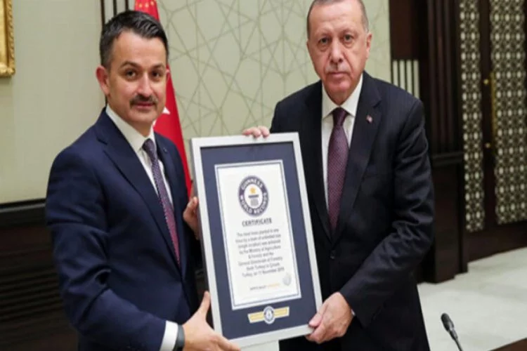 Dünya rekoru belgesi Erdoğan'a verildi