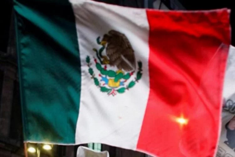 Meksika'da 133 ton uyuşturucu ele geçirildi