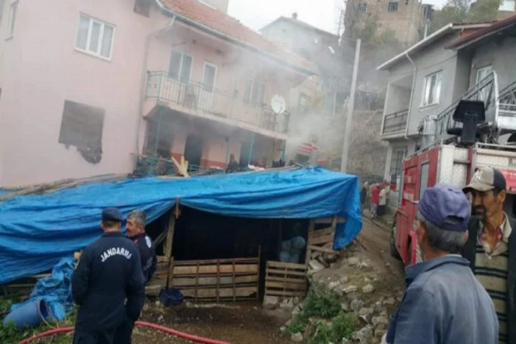 Bursa'da otlar tutuştu, 3 katlı ev yandı!