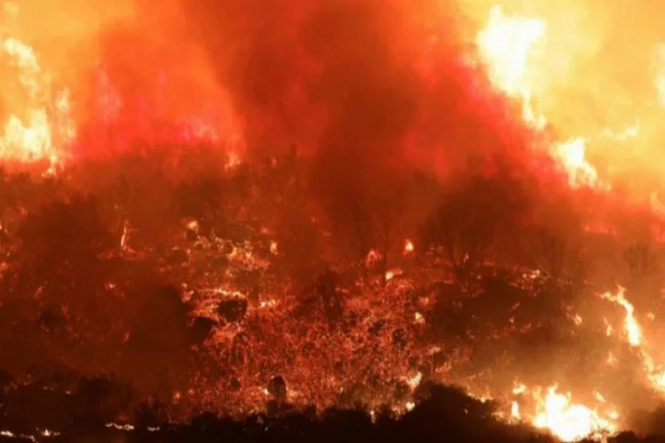 Ulusal ormandaki yangın kente ulaştı