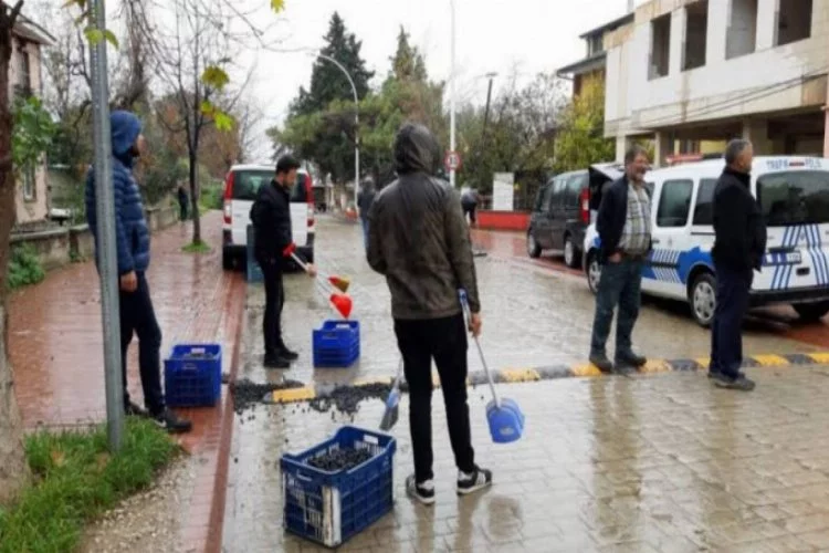 Bursa'da 450 kilo zeytin yola saçıldı!
