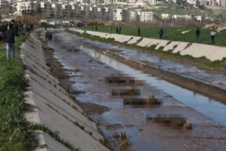 Suriye'de 'nehir'de katliam