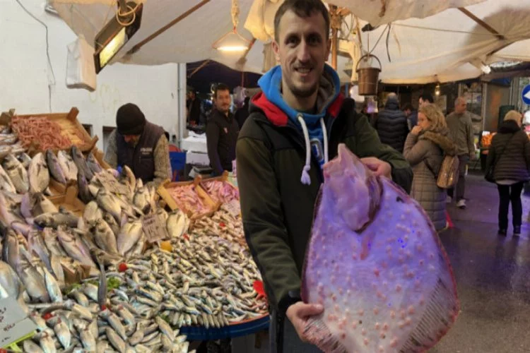 Bursa'da 2 kilo 800 gramı 450 liradan satıldı!