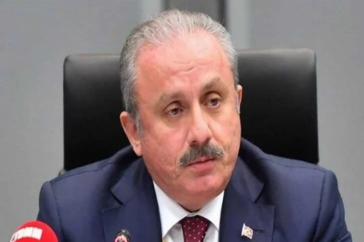 Başkan Şentop'tan 'Ermeni kararı' açıklaması