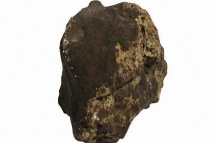 Ceviz ağacı dikerken meteorit buldu