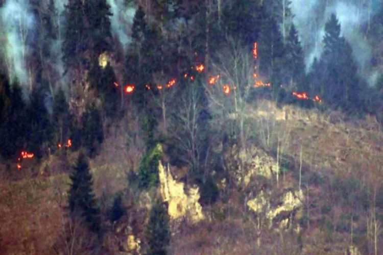 Trabzon Valiliği'nden yangın açıklaması