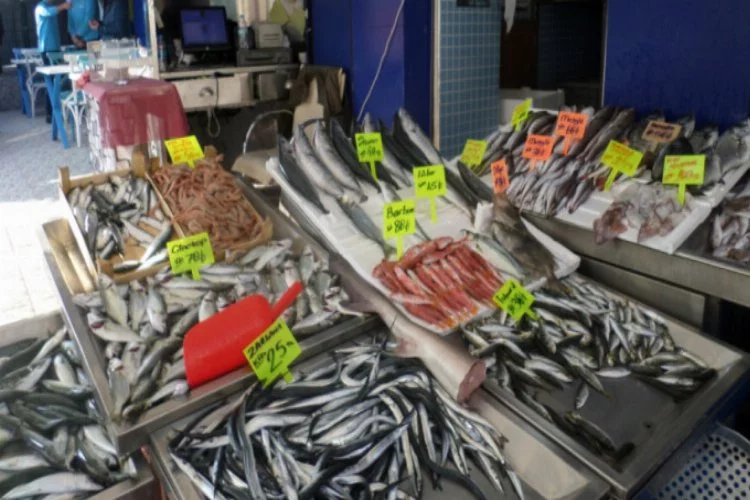 Bursa'da balık fiyatları cep yakıyor!
