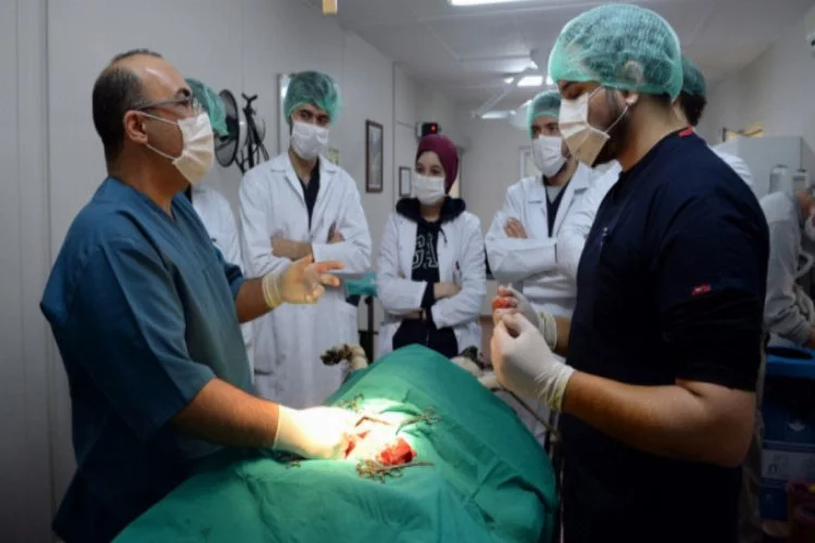 Geleceğin veterinerler hekimleri Osmangazi'de yetişiyor