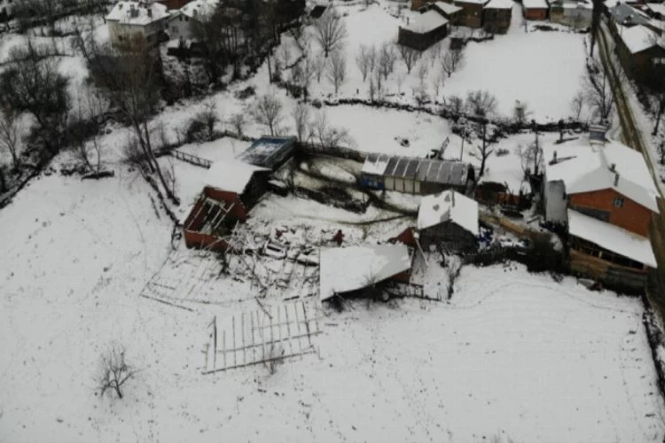 Bursa'da ahırın çatısı çöktü, 50'ye yakın koyun telef oldu!