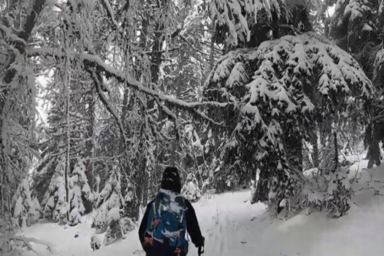 Bursa'da 2019'u karla kaplı ormanlarında bitirdiler