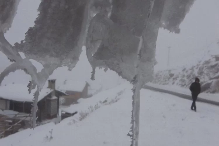 Ardahan'da ulaşıma kar, tipi ve sis engeli