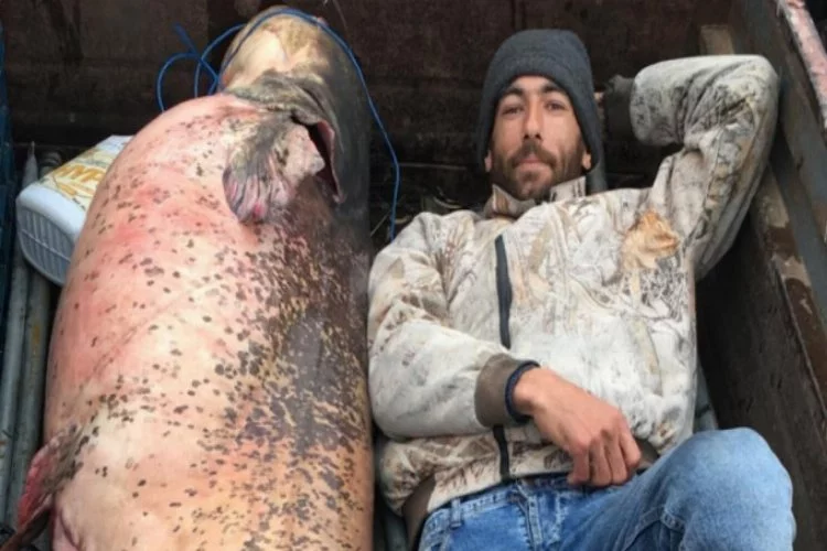 Bursa'da 120 kiloluk yayın balığının yanında yattılar