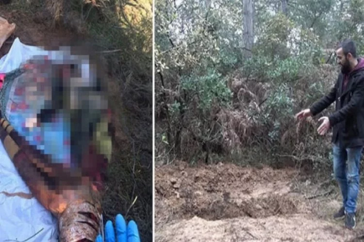 Ormanda vahşet! Battaniyeye sarılı kadın cesedi bulundu
