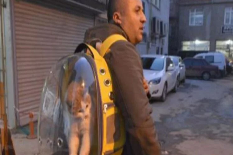 Kedisini sırt çantasında sokak sokak gezdiriyor