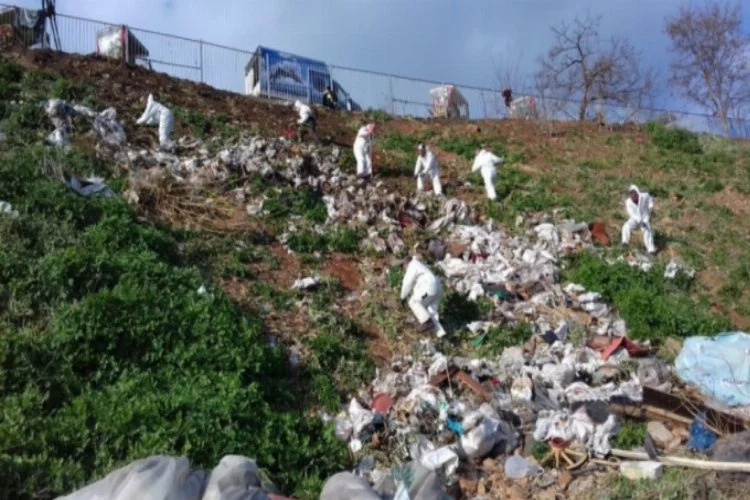 Adalar'da fayton temizliği: 25 ton atık çıkarıldı