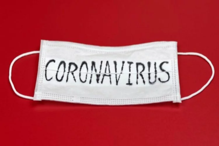 Corona virüsünün ardından bir salgın daha!
